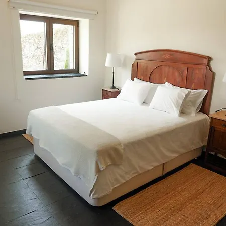 Pensjonat Quinta Rachel - Winery