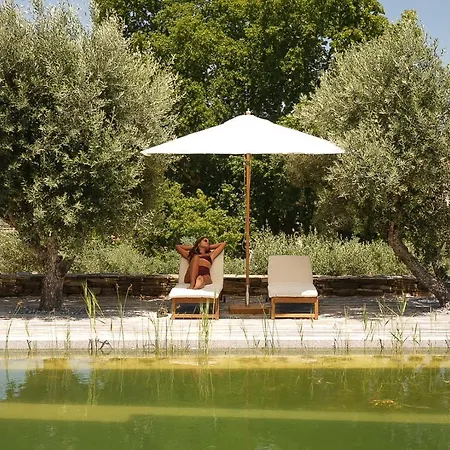 Quinta Rachel - Winery Casa de hóspedes 4*