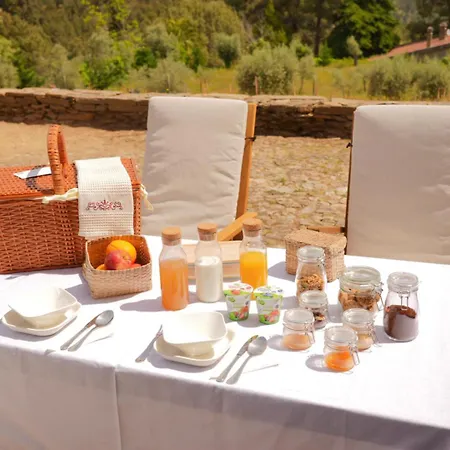 Quinta Rachel - Winery Sao Mamede de Ribatua