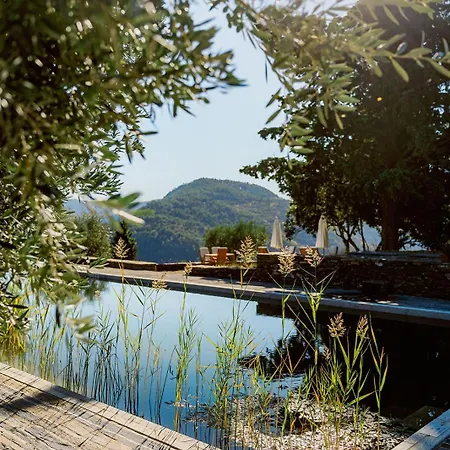 Pensjonat Quinta Rachel - Winery