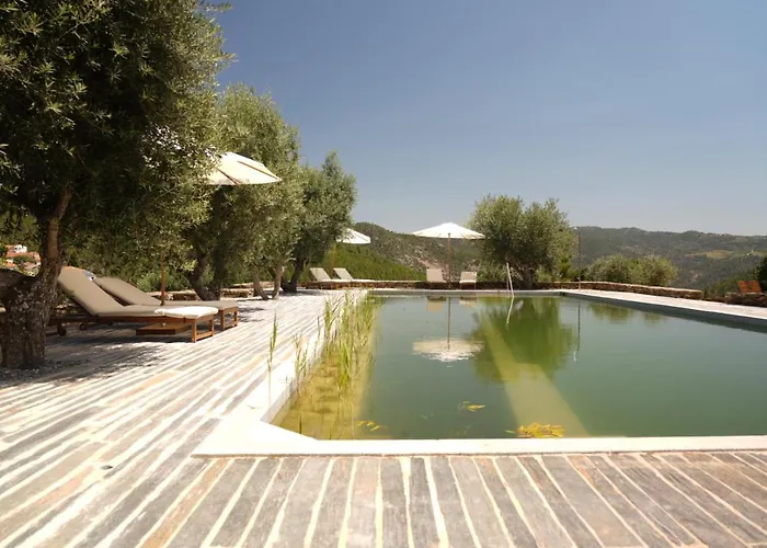 Quinta Rachel - Winery בית הארחה