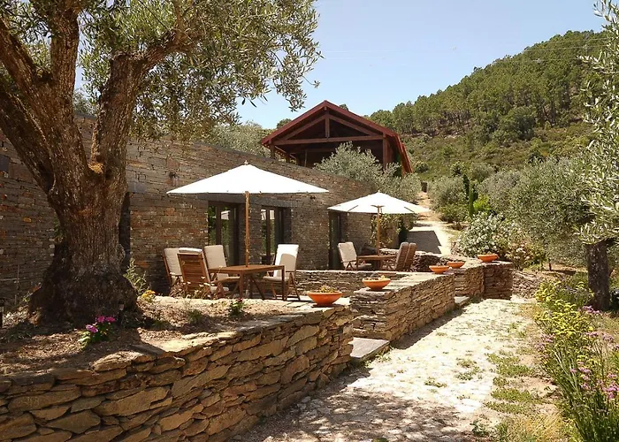 בית הארחה Quinta Rachel - Winery Sao Mamede de Ribatua