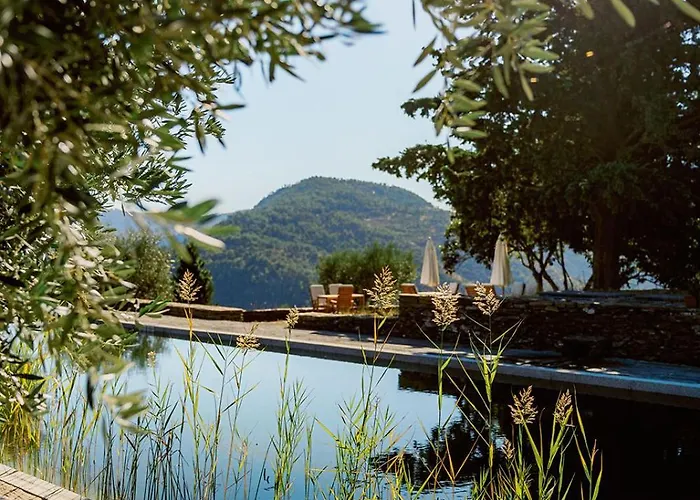 Pensjonat Quinta Rachel - Winery