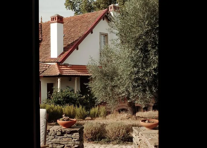 Pensjonat Quinta Rachel - Winery 4*